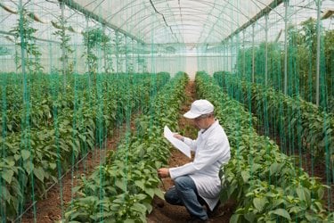 agricoltural inspection 