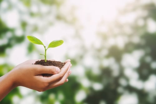 sostenibilità ambientale