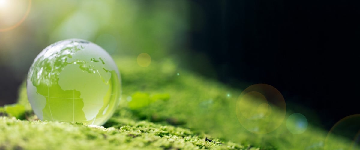 A transparent globe with a map design rests on green moss, surrounded by soft, blurred greenery and light reflections.