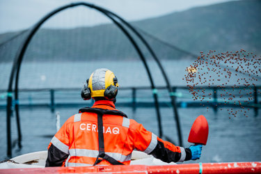 Cermaq_Hellarvika.jpg
