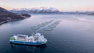Cermaq_Store-Lerresfjord.jpg