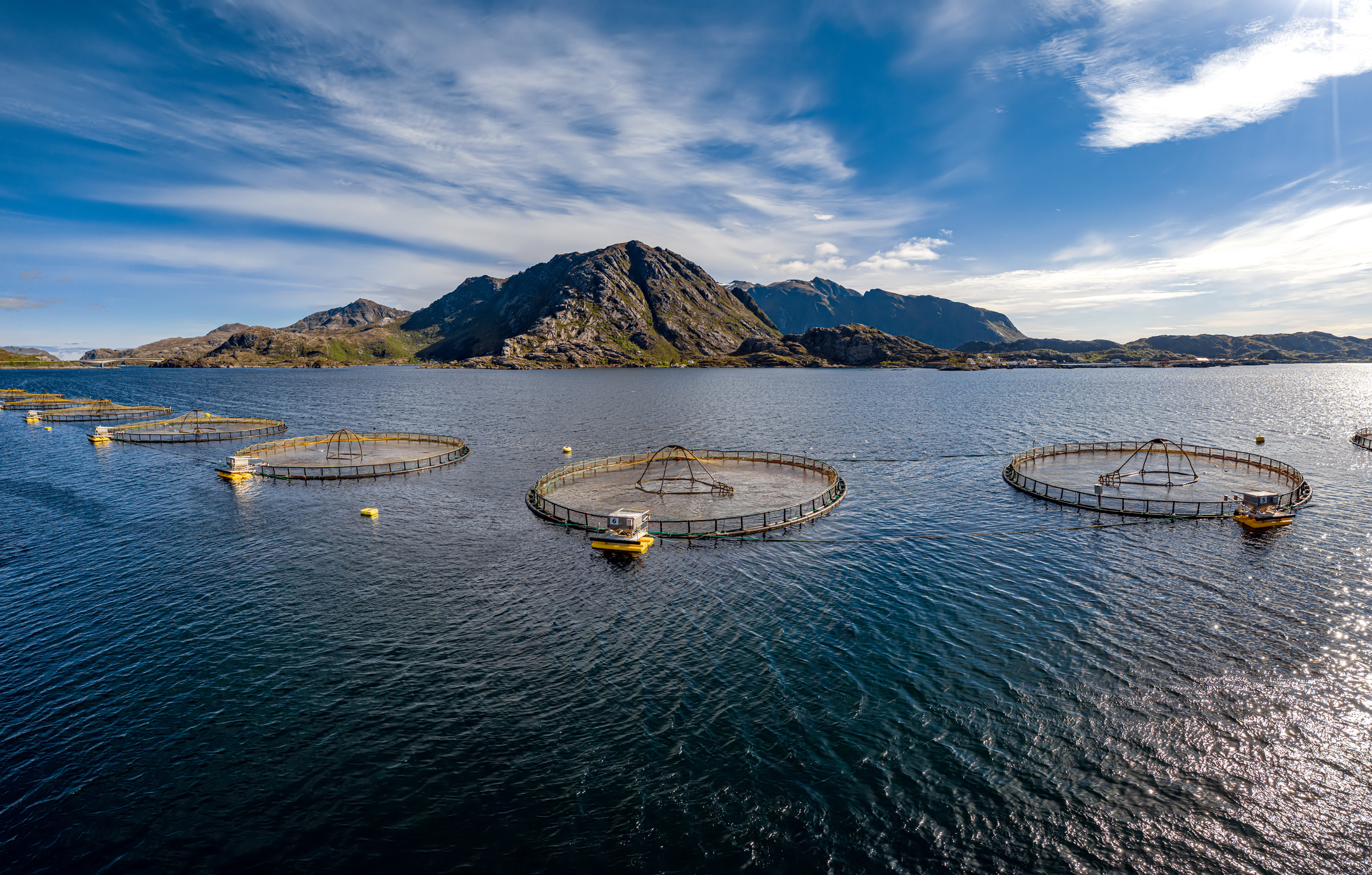 open water fisheries in the norwegian fjord