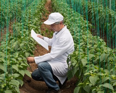 Kiwa Portugal - Your partner in testing, inspection and certification.