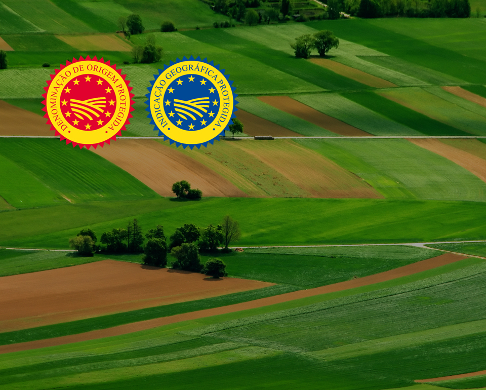 Kiwa Sativa | Logo DOP (Denominação de Origem Protegida) e IGP (Indicação Geográfica Protegida)