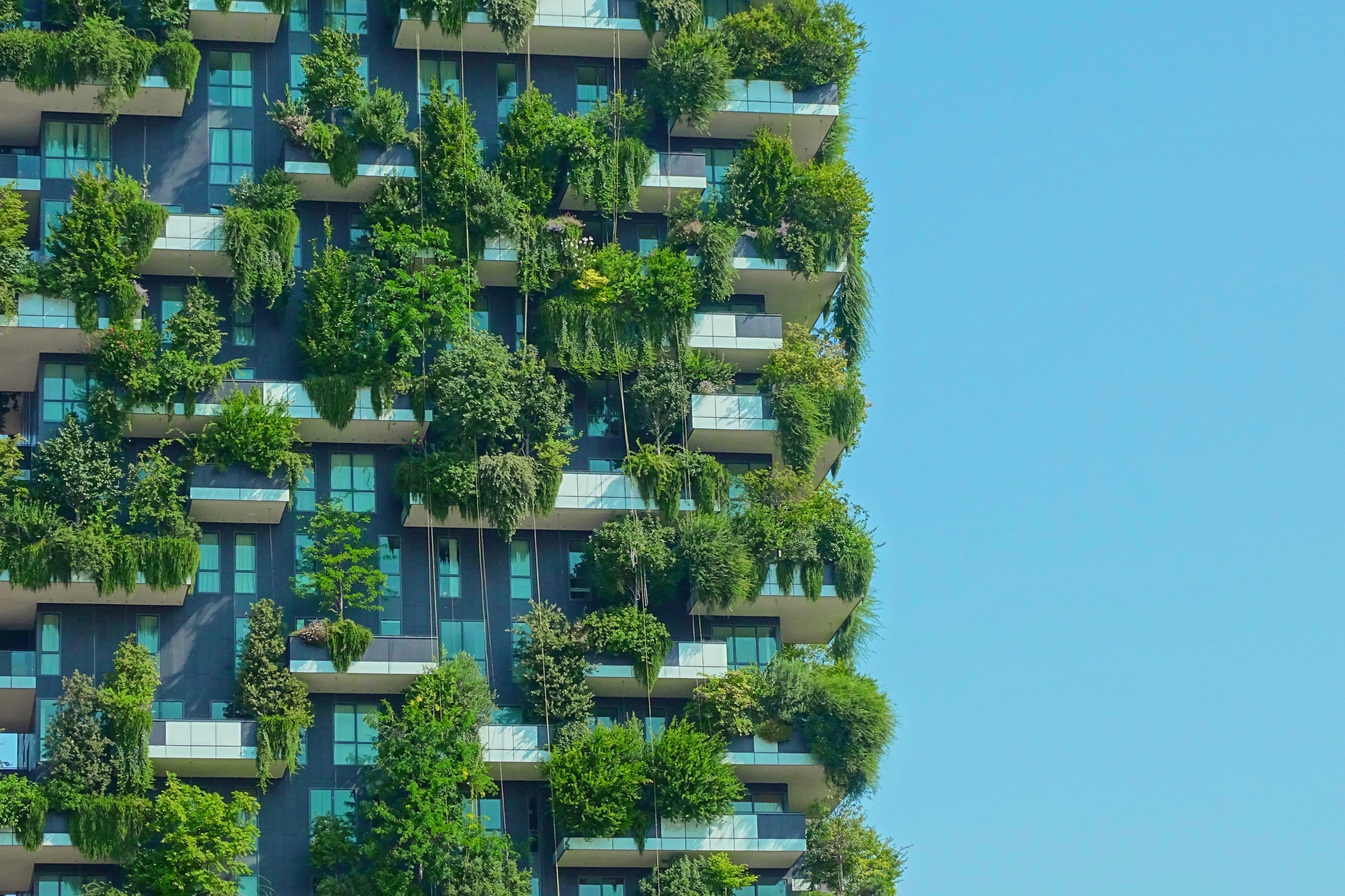 Fasaden på ett modernt flerbostadshus täckt av frodig grön vegetation och balkonger mot en klarblå himmel.