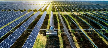 utility scale zoomed in rows with sunshine.jpg