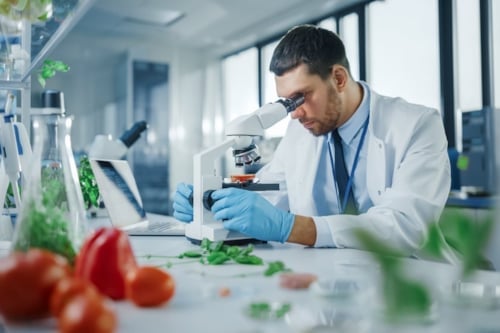A man is inspecting food as part of Kiwa certification.
